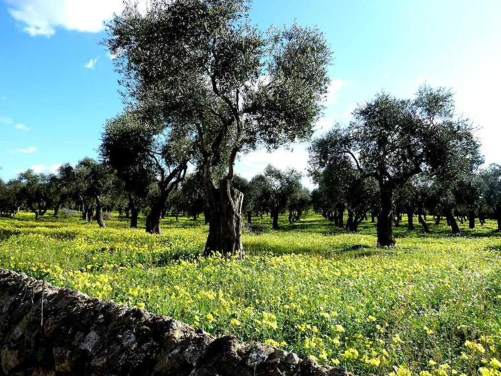 Appartamento Borgo degli Ulivi Alghero Camera foto